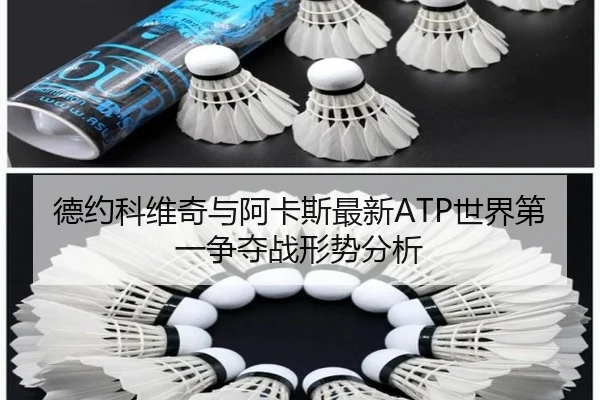 德约科维奇与阿卡斯最新ATP世界第一争夺战形势分析
